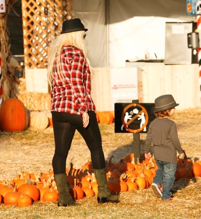 258963028.jpg 258963028.jpg