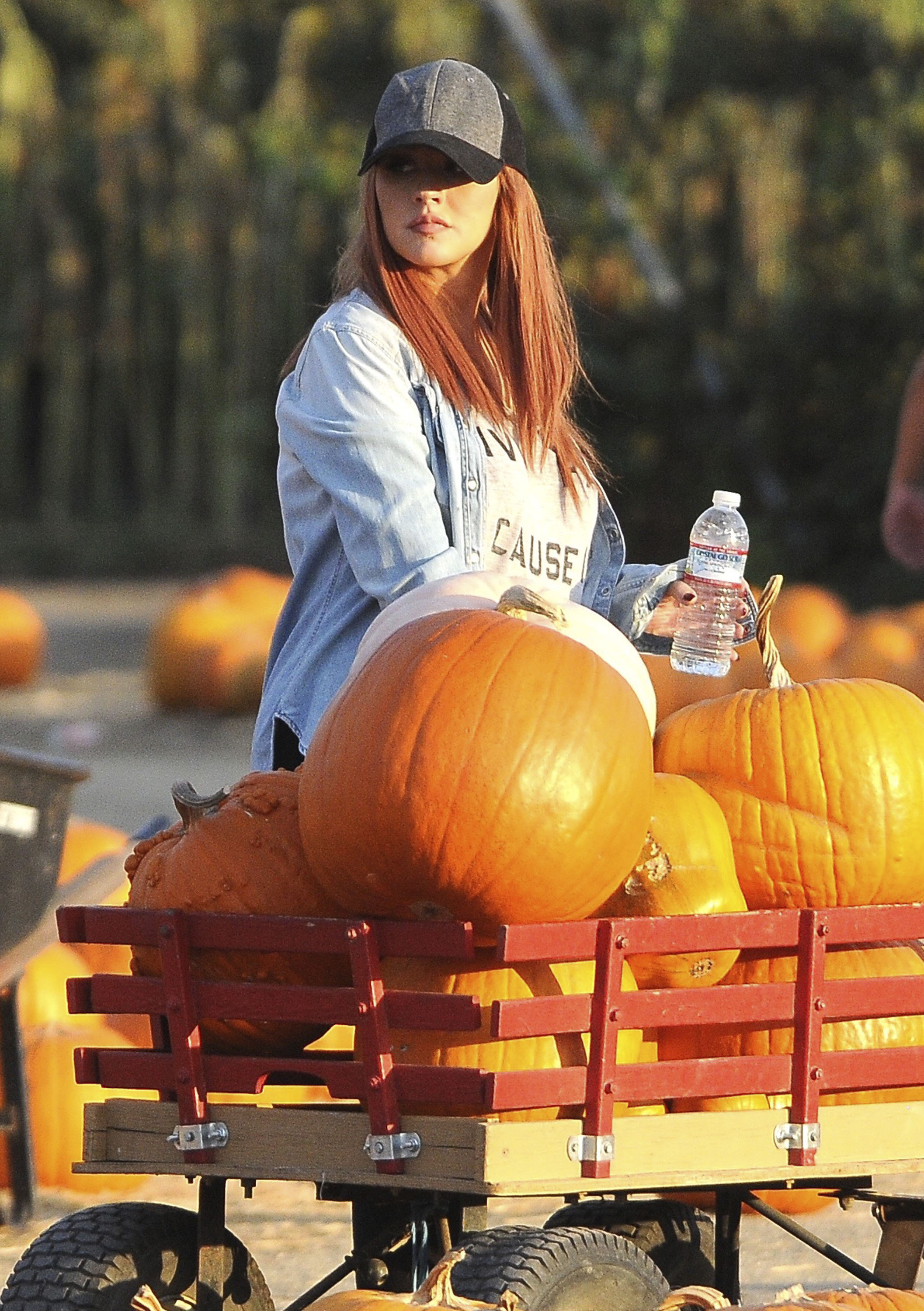 25896374007.jpg 25896374007.jpg