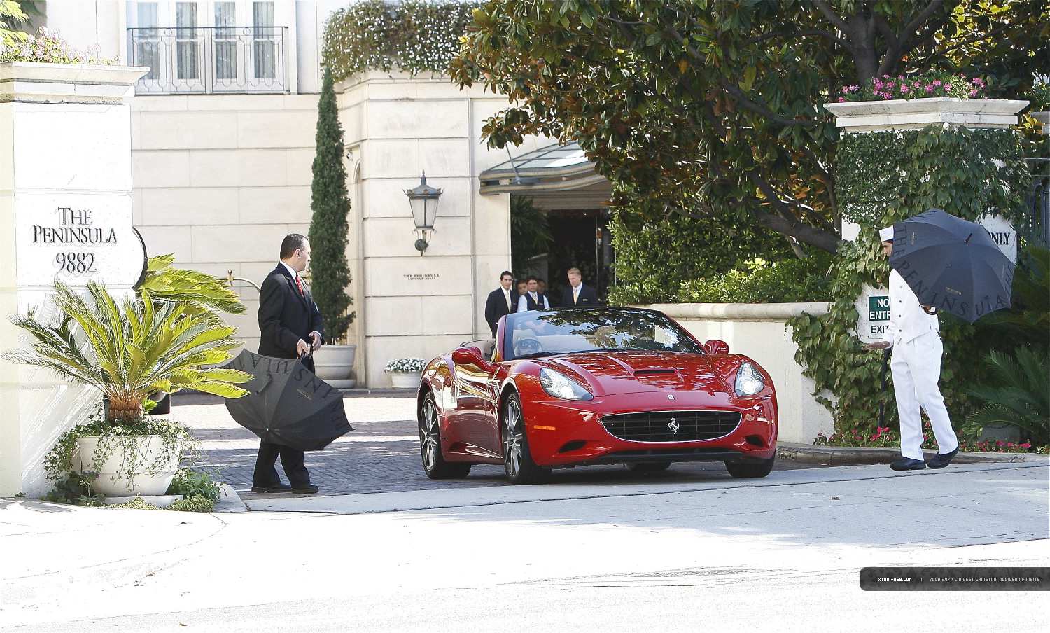 4547044.jpg 4547044.jpg