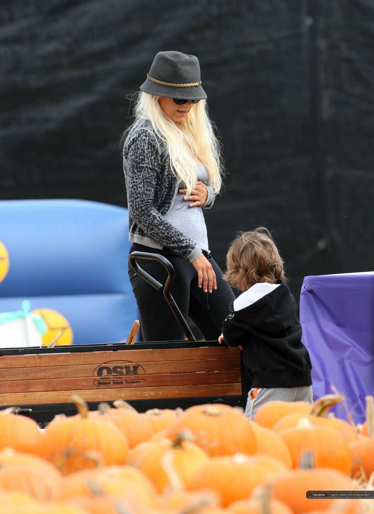 8526039.jpg 8526039.jpg