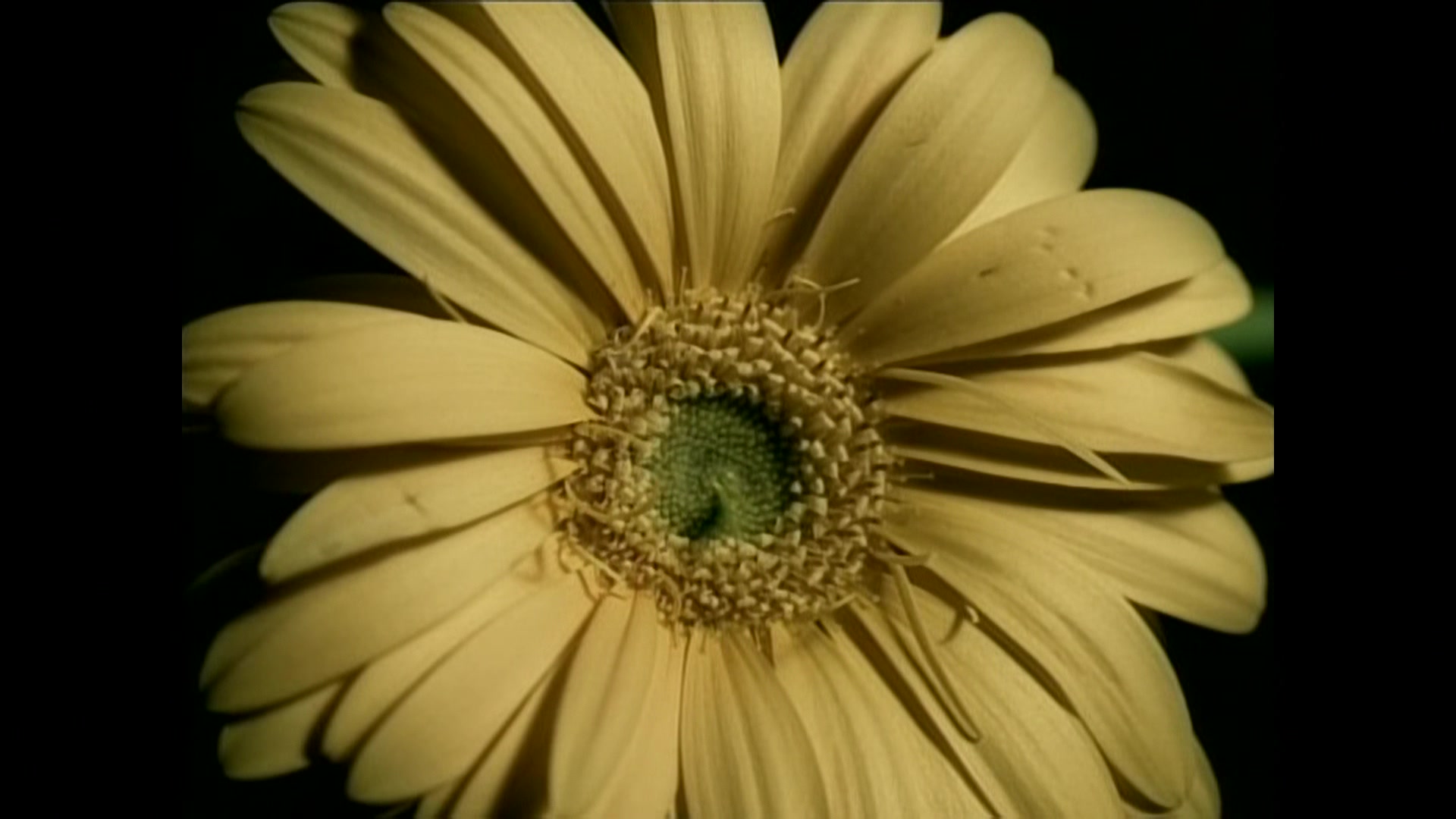 Christina_Aguilera_-_Beautiful_230.jpg Christina_Aguilera_-_Beautiful_230.jpg