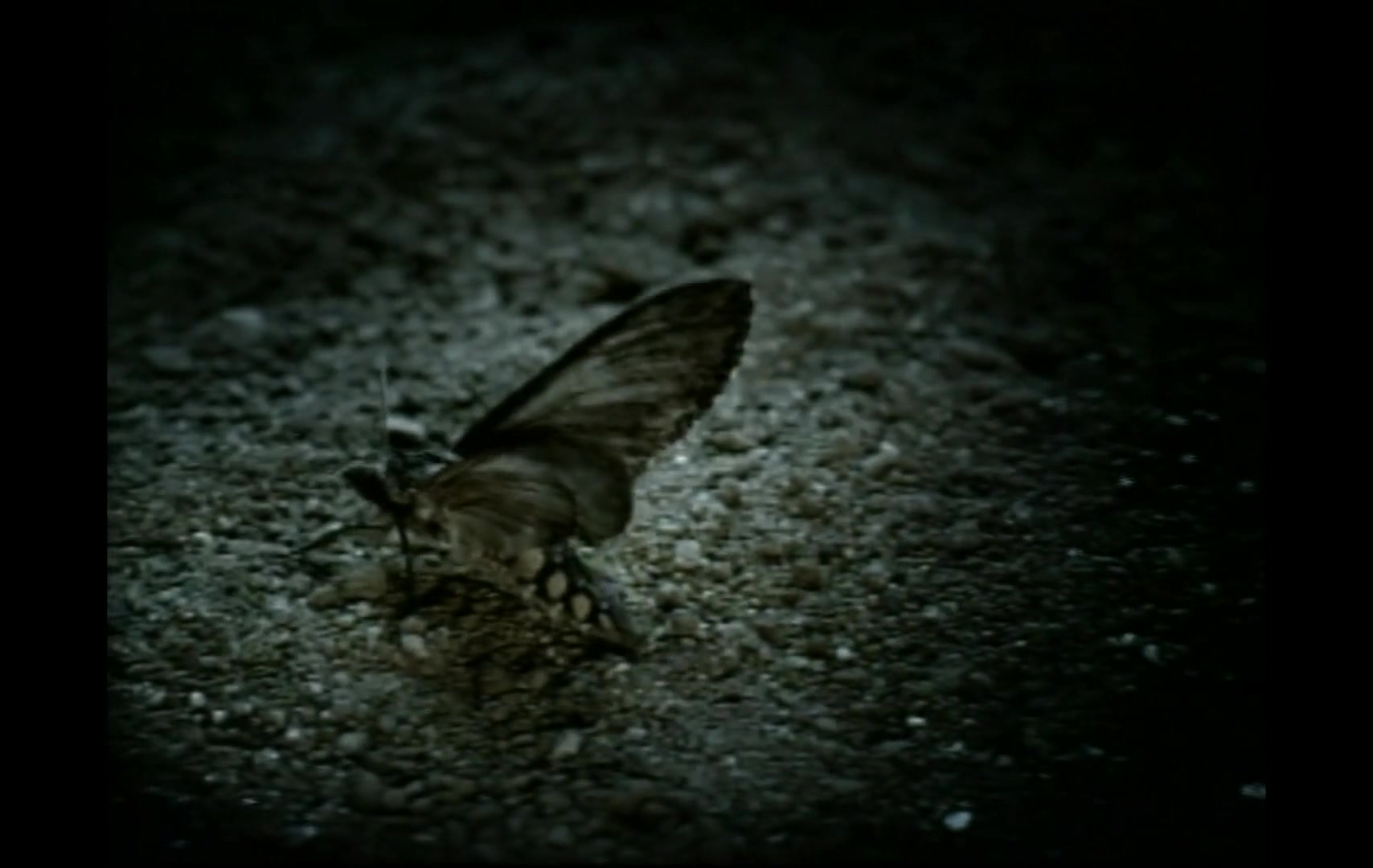 Christina_Aguilera_-_Fighter_5BVEVO_HD_1080p5D_004.jpg Christina_Aguilera_-_Fighter_5BVEVO_HD_1080p5D_004.jpg