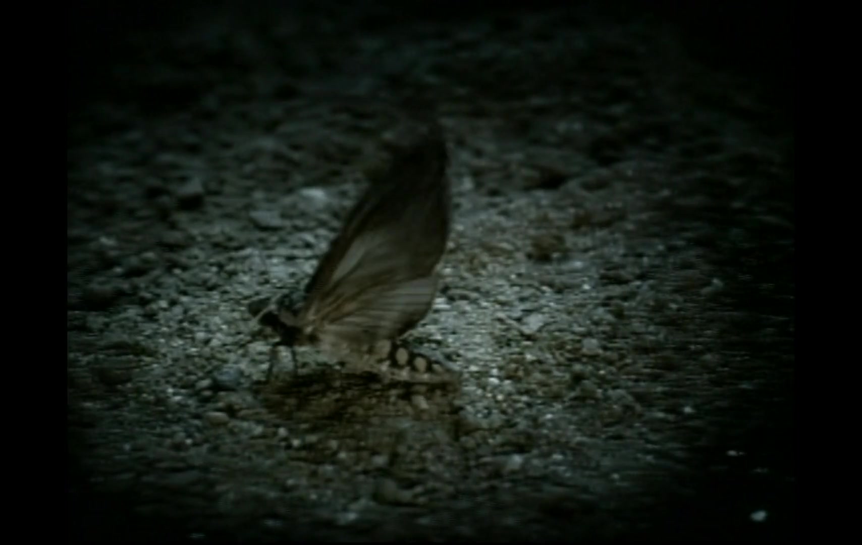 Christina_Aguilera_-_Fighter_5BVEVO_HD_1080p5D_005.jpg Christina_Aguilera_-_Fighter_5BVEVO_HD_1080p5D_005.jpg