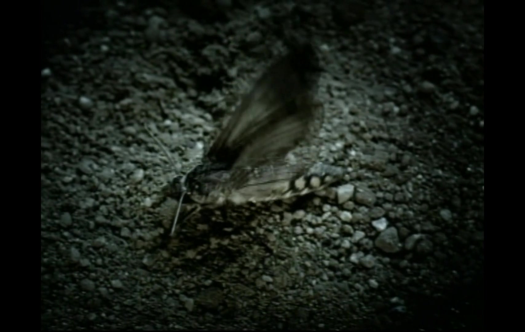 Christina_Aguilera_-_Fighter_5BVEVO_HD_1080p5D_012.jpg Christina_Aguilera_-_Fighter_5BVEVO_HD_1080p5D_012.jpg