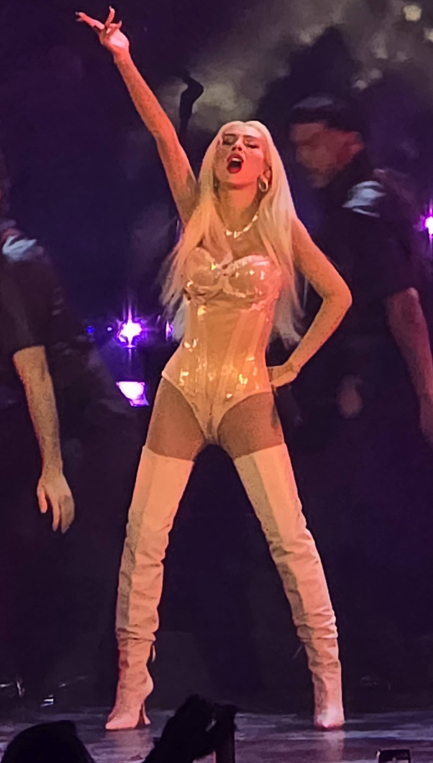 Voltaire_january_6_-_0039_XtinaDaily.jpg Voltaire_january_6_-_0039_XtinaDaily.jpg