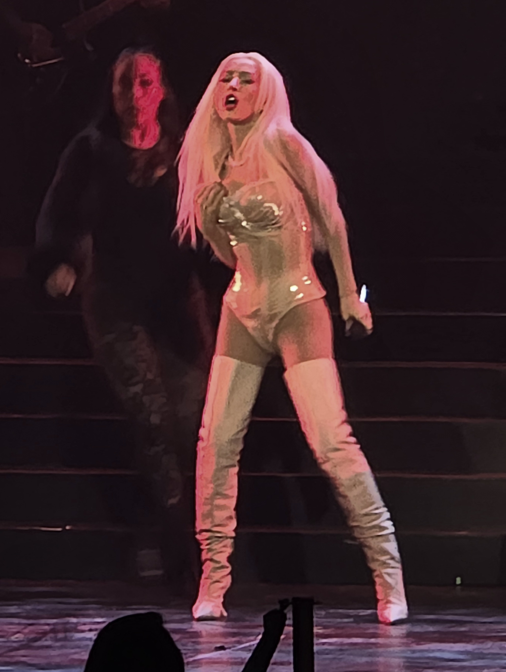 Voltaire_january_6_-_0041_XtinaDaily.jpg Voltaire_january_6_-_0041_XtinaDaily.jpg