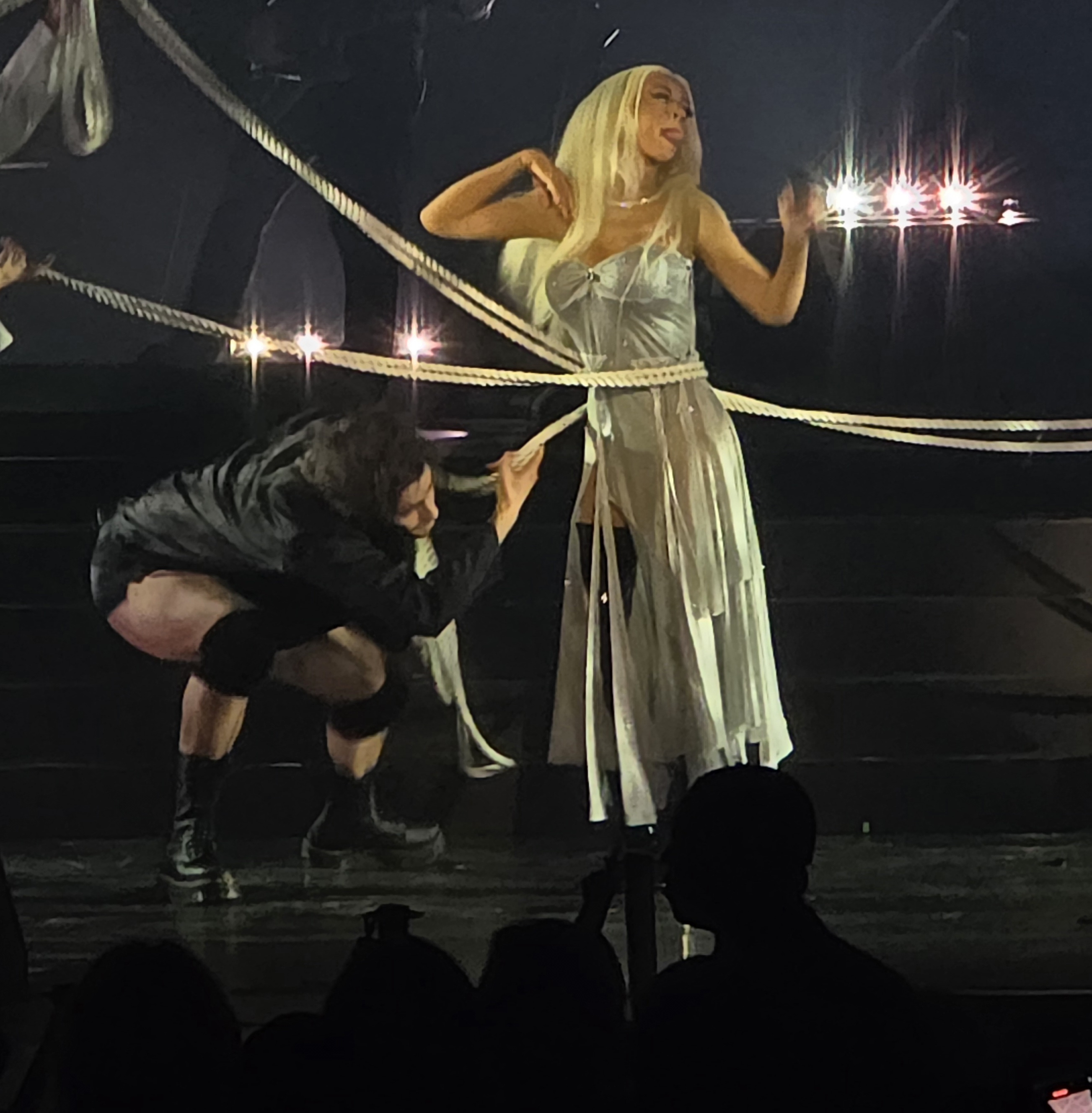 Voltaire_january_6_-_0047_XtinaDaily.jpg Voltaire_january_6_-_0047_XtinaDaily.jpg