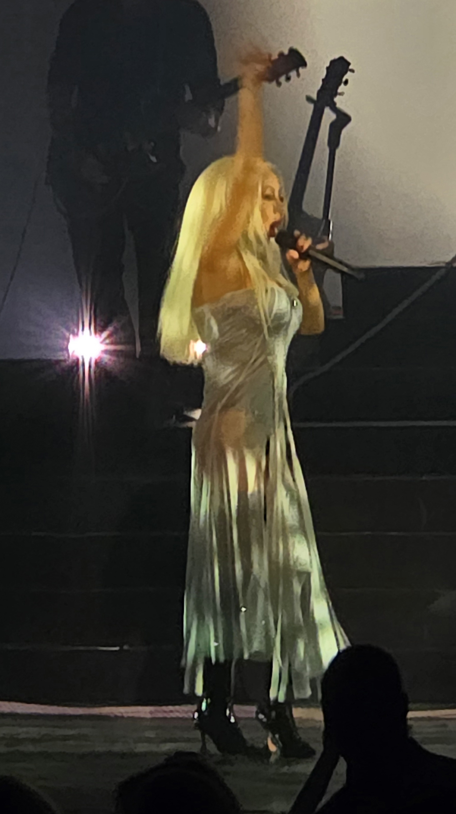 Voltaire_january_6_-_0053_XtinaDaily.jpg Voltaire_january_6_-_0053_XtinaDaily.jpg