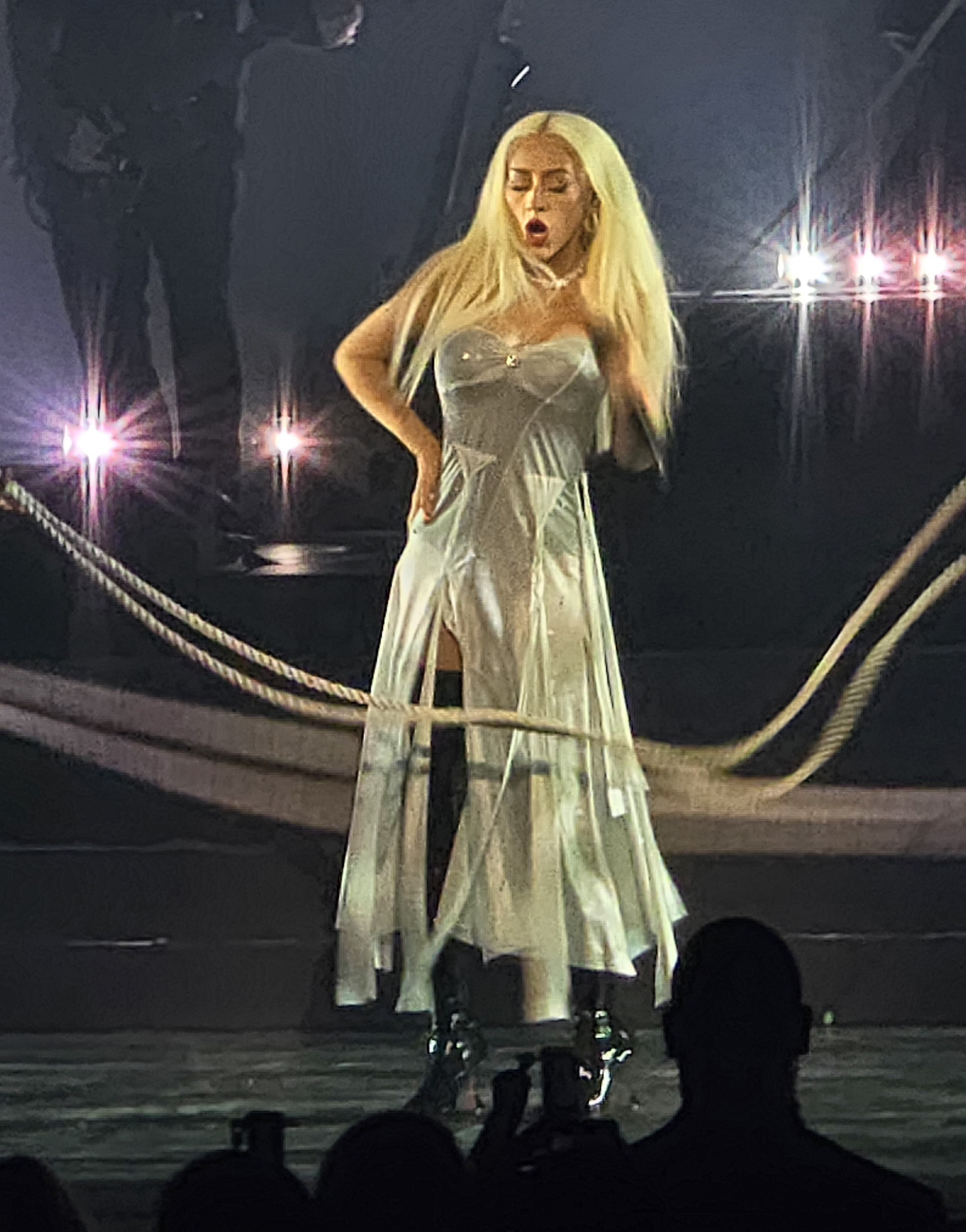 Voltaire_january_6_-_0056_XtinaDaily.jpg Voltaire_january_6_-_0056_XtinaDaily.jpg