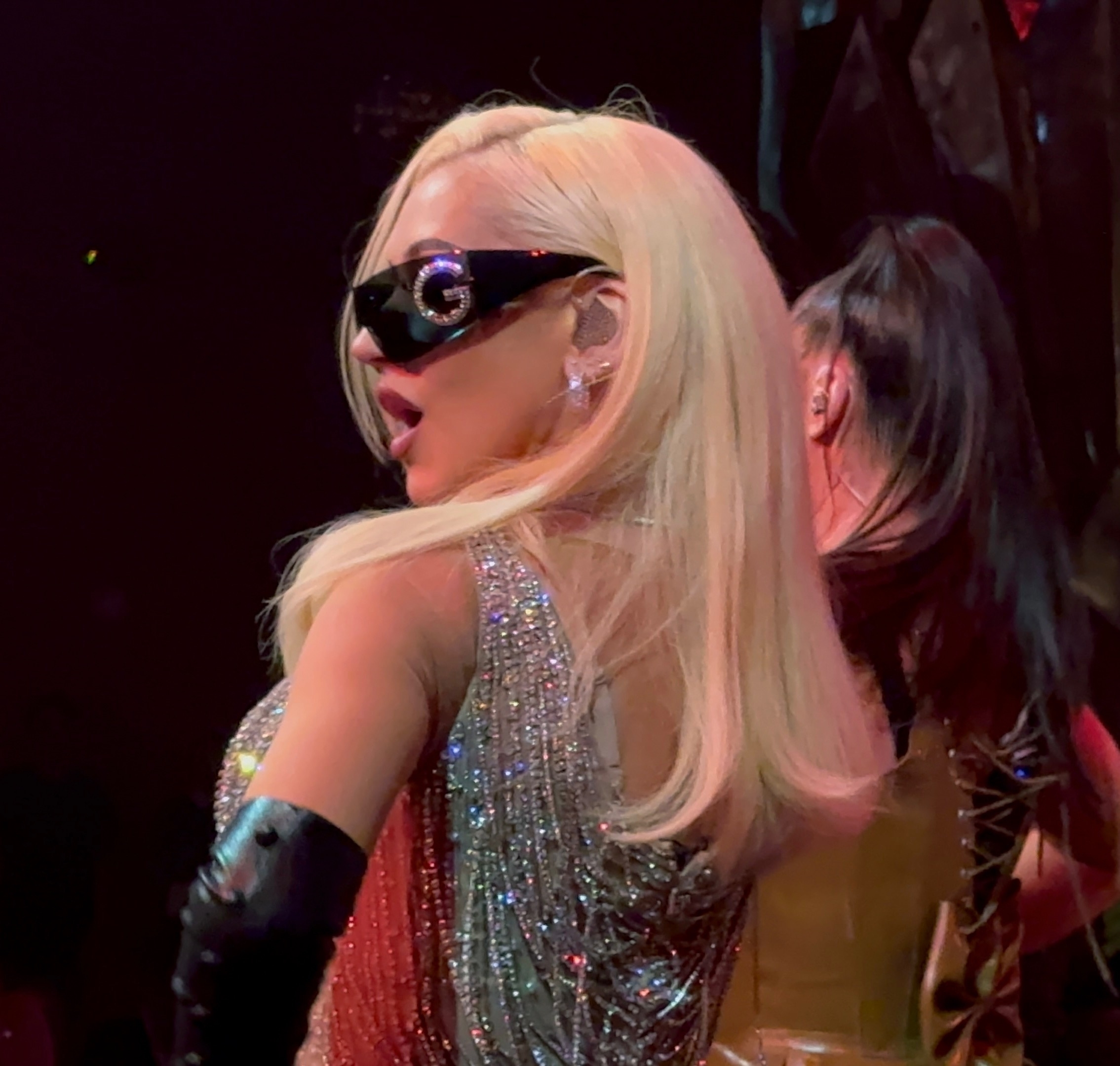 Voltaire_march_2_-_0004_XtinaDaily.jpg Voltaire_march_2_-_0004_XtinaDaily.jpg