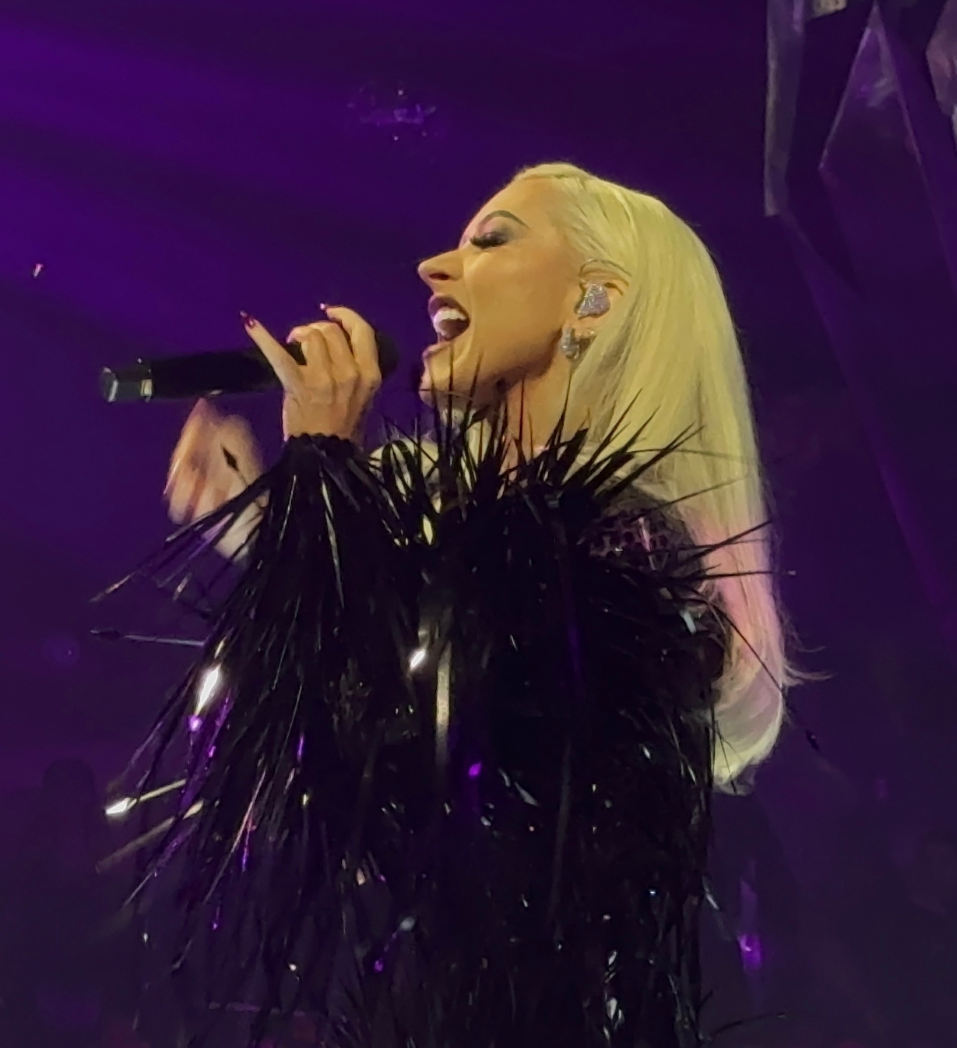 Voltaire_march_2_-_0005_XtinaDaily.jpg Voltaire_march_2_-_0005_XtinaDaily.jpg