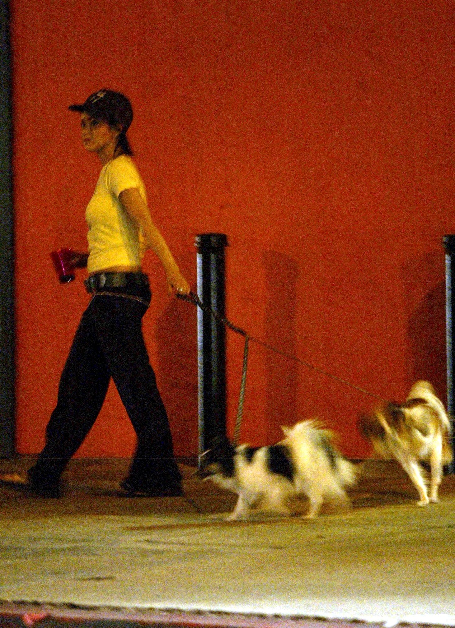 leavingzulu_tattoo_1083181666.jpg leavingzulu_tattoo_1083181666.jpg