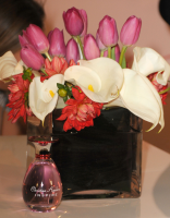 Filename=83947924.png
Filesize=6670KiB
Dimensions=1736x2048
Date added=Jan 12, 2019 83947924.png