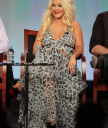 thevoice_panel_282129.jpg