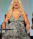 thevoice_panel_282329.jpg