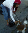 walkingwithdogsinla_1081615476.jpg