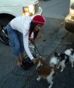 walkingwithdogsinla_1081615522.jpg